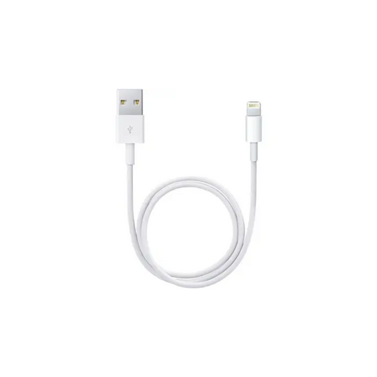 Apple USB Type-A to Lightning Cable (1.6')