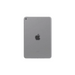 Apple - iPad Mini 5 (2019)